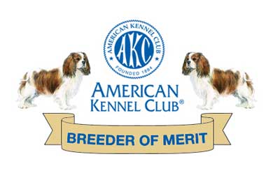 AKC Breeder of Merit